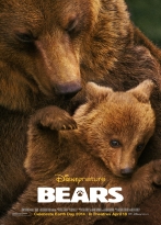 Bears - Ayılar izle