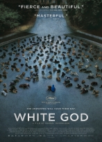 Beyaz Tanrı izle